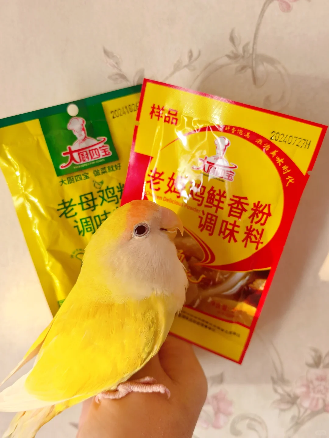 柠檬接代言了