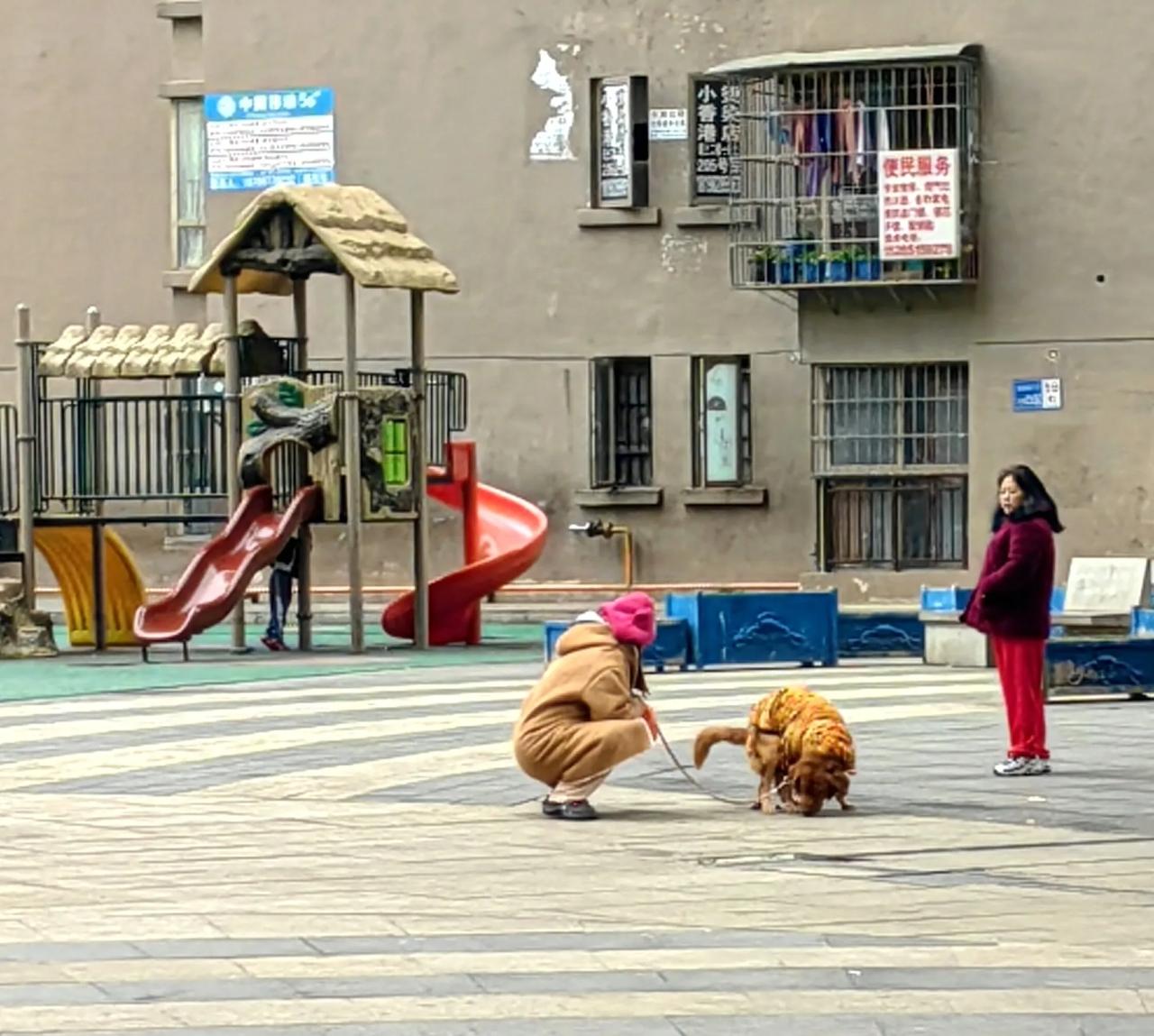 完事后，想必主人会打扫的---清除那人人见到都恶心的什么
