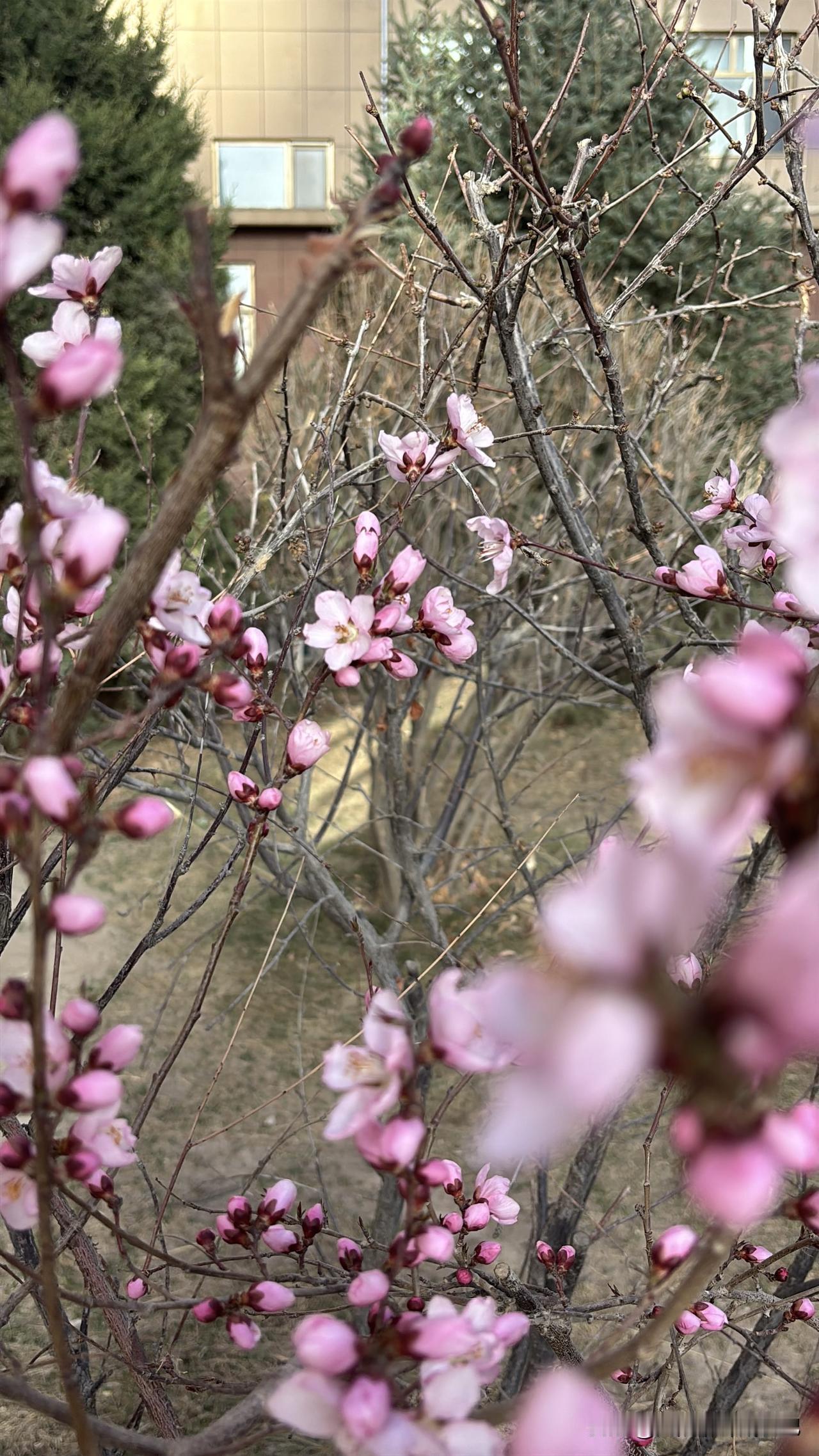 你们有没有发现一个特别吓人的现象？最近这几年好好的说没就没了的人越来越多，而且越