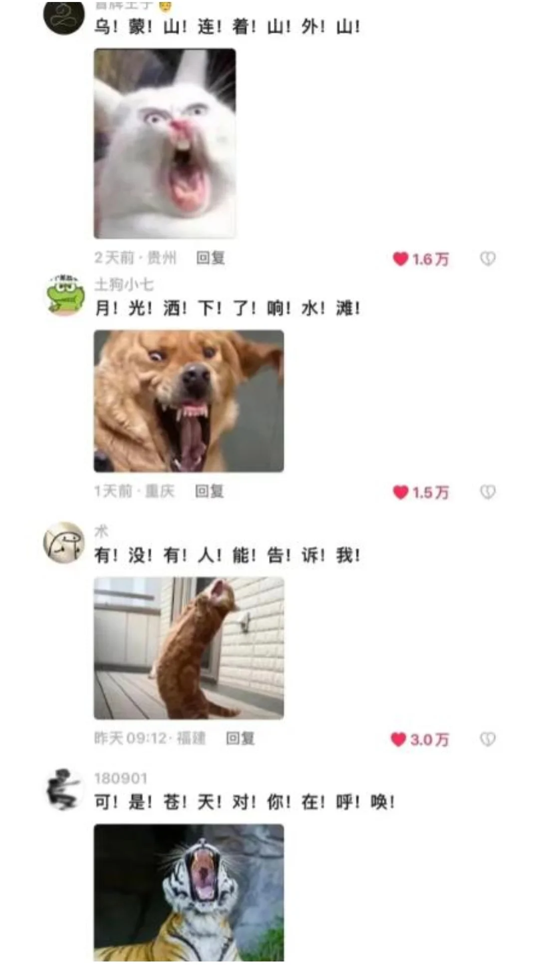 被窝里笑出猪叫声，忍不住，根本忍不住