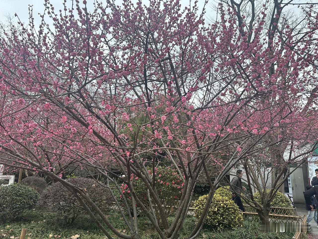 有粉丝告诉我，前几天有一35+女生托朋友在他们单位内部网发了一个征婚帖，基本没人