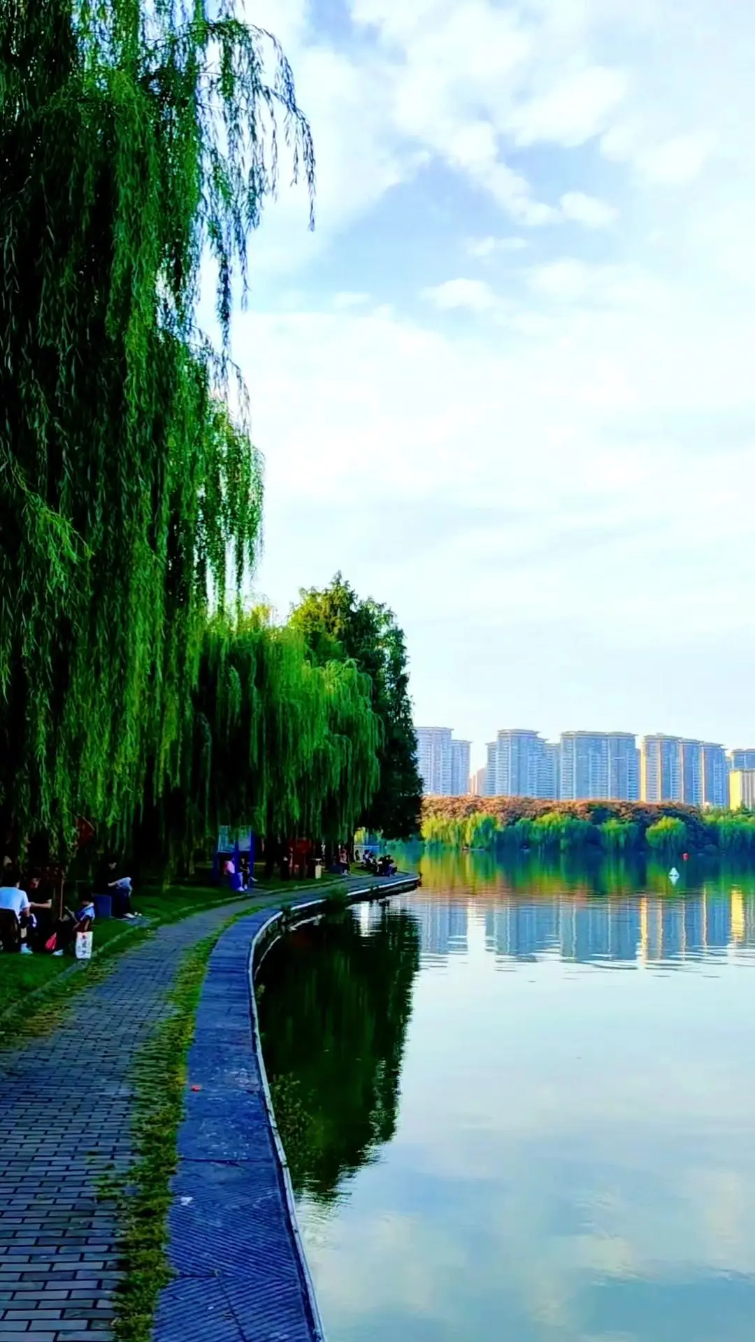 洛阳凌波湖秋景也太治愈了。🌿漫步洛阳新区凌波湖，满目秋景像从画里走出...