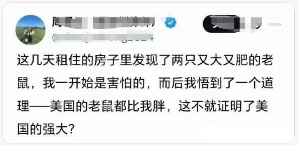 看看这位大殖子是怎么舔美的，她说：
在美国租的房子发现又大又肥的老鼠，
美国老鼠
