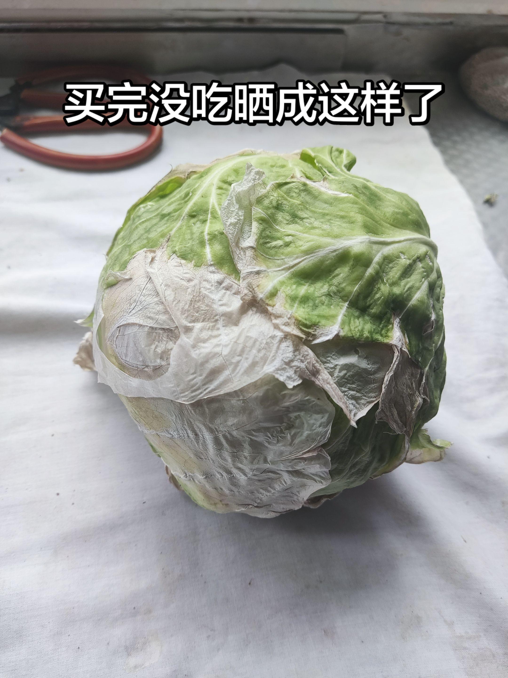 晒坏的大头菜。