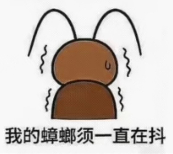 新的身份是搭档他的搭档 