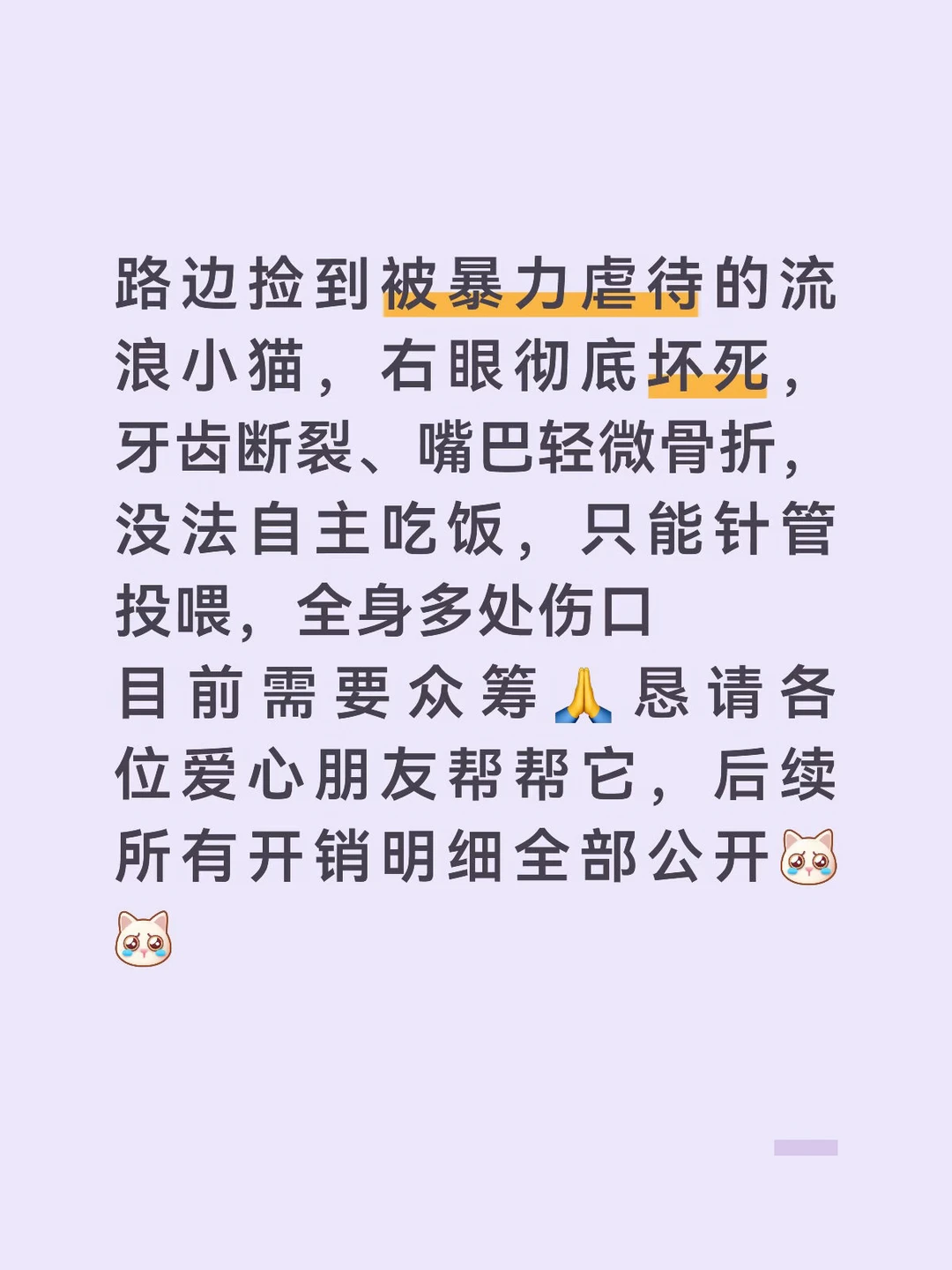 救救小猫🥲