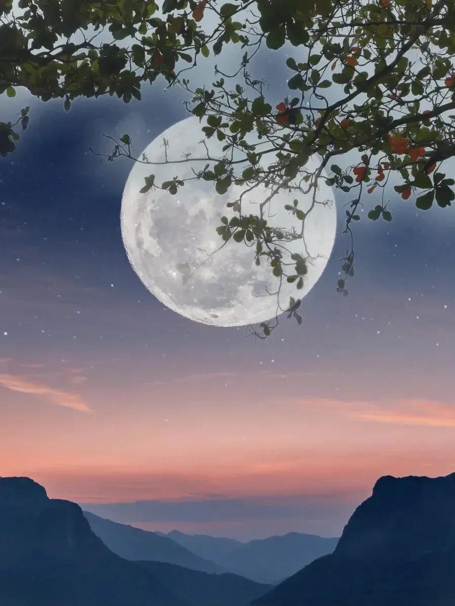 上联：秋山明月一幅画；
下联：？？？