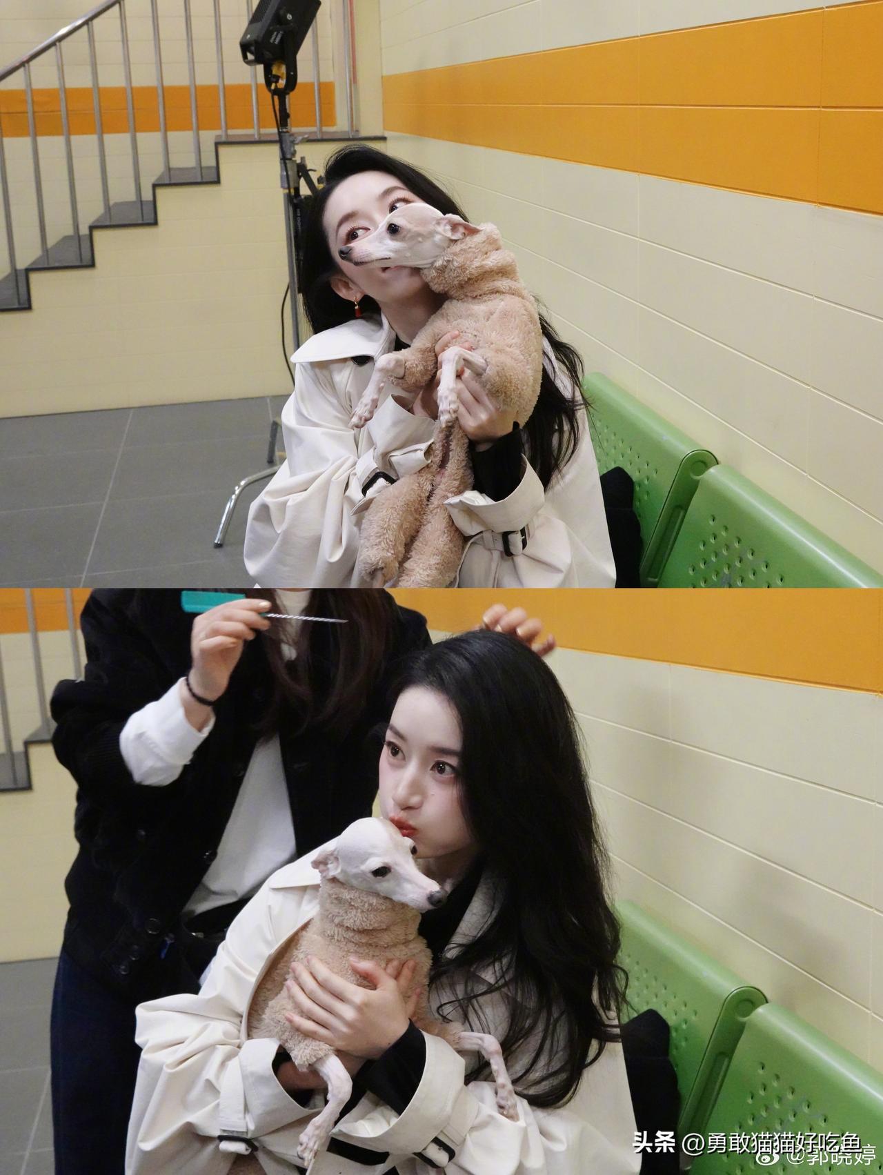 郭晓婷好美好美好美