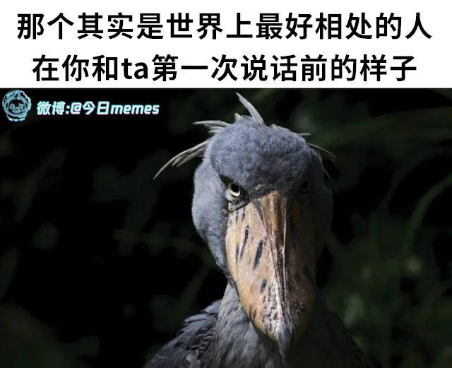 你来（9gag）今日meme 今日memes