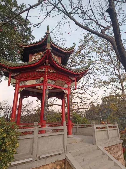 我想辞职躺平了，天天上班实在太累了，天天躺平在家睡觉不香吗，马上要发年终奖，年底