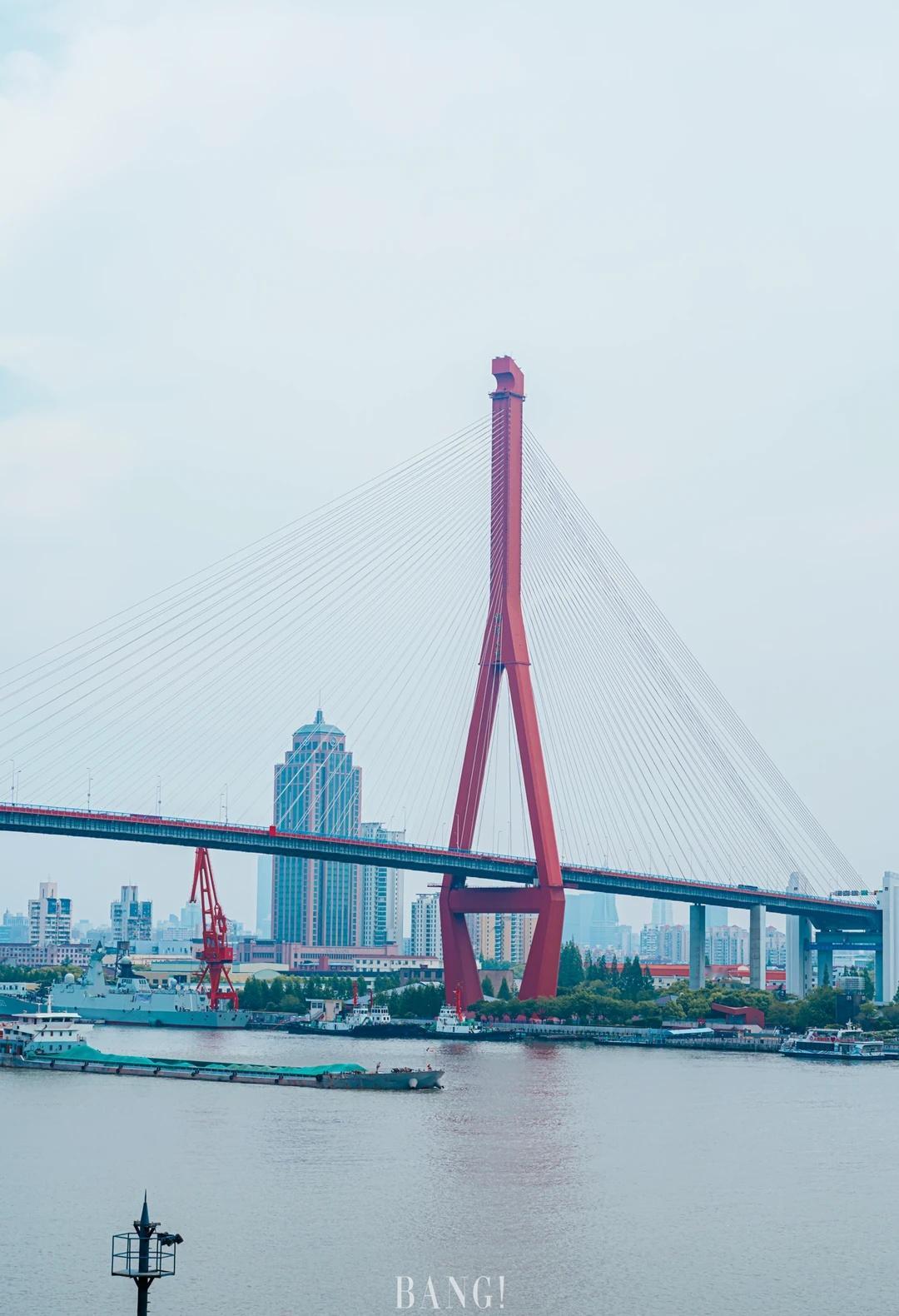 杨浦滨江，终于长成了它该有的样子
杨浦滨江。
曾经是机器的轰鸣、岸线的割裂、工业