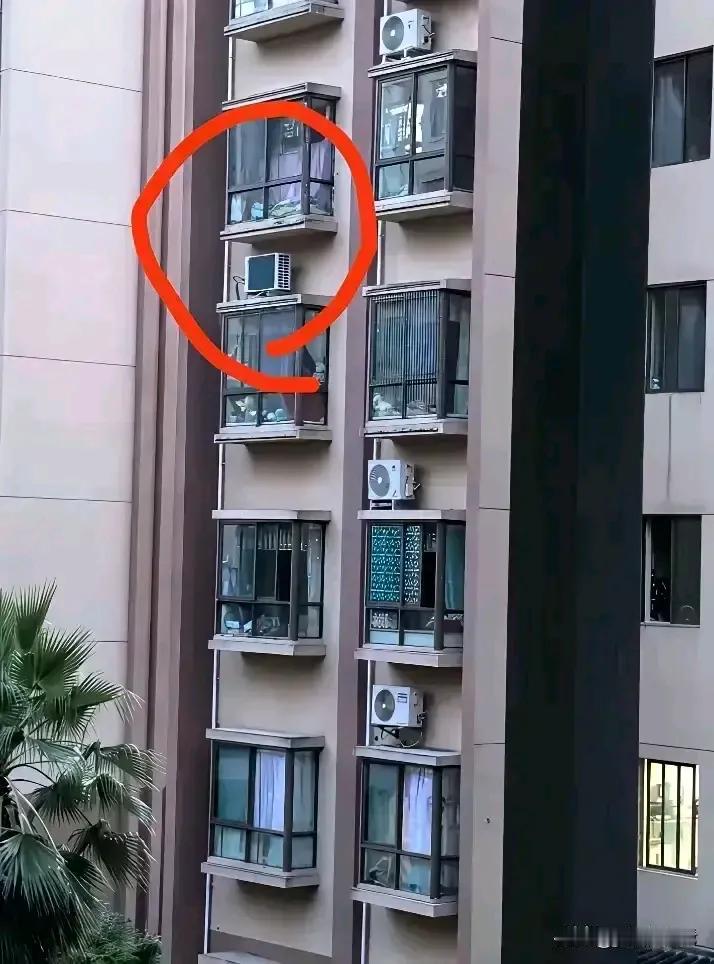 张晓磊发文：太缺德了，太无耻了，必须严惩！”6月20日，四川眉山，一位老人因为不