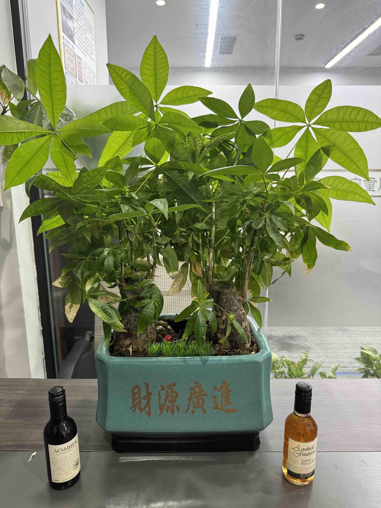 什么是人品，说话要诚信，做事要认真，相处要珍惜，为人要诚恳。信你的人不能骗，痛你