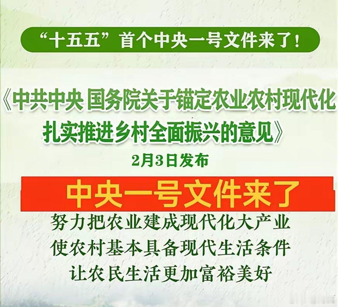 中央一号文件发布锚定农业农村现代化 绘就乡村全面振兴新图景——中央一号文件重点解
