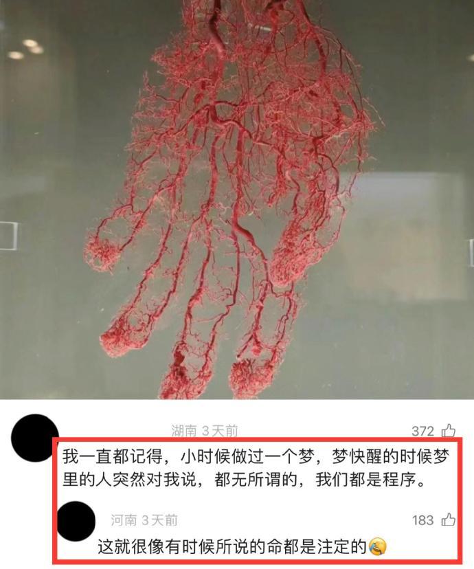 冷知识……冥冥中自有天意…… 