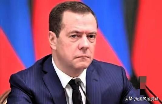 梅德韦杰夫这回算是彻底把那层窗户纸给捅破了，话糙理不糙。

3月7日这老哥直接对