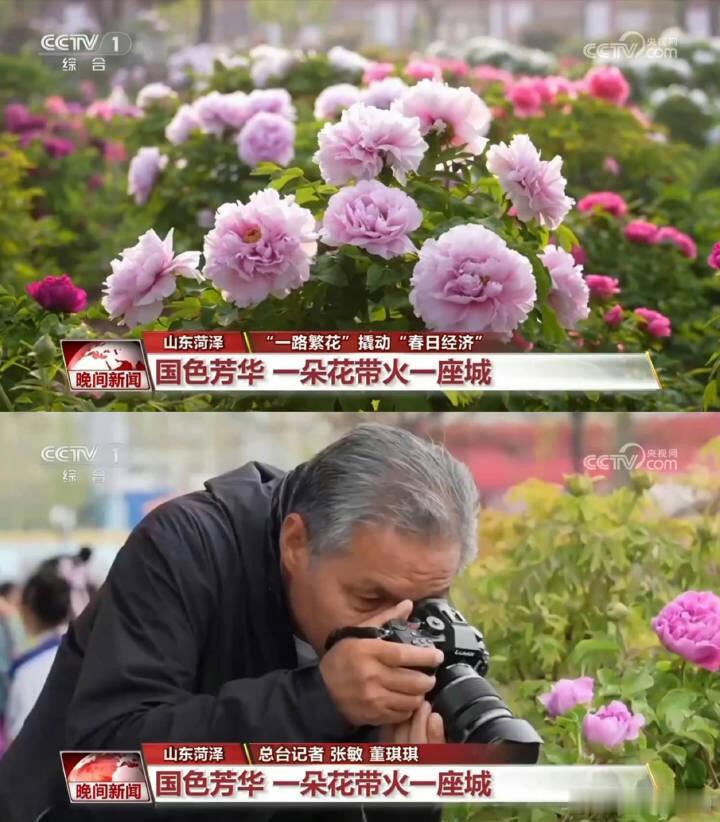 杨紫携作品再登央视，影视IP赋能效应持续显现，杨紫那句做人民群众的好演员具象化了