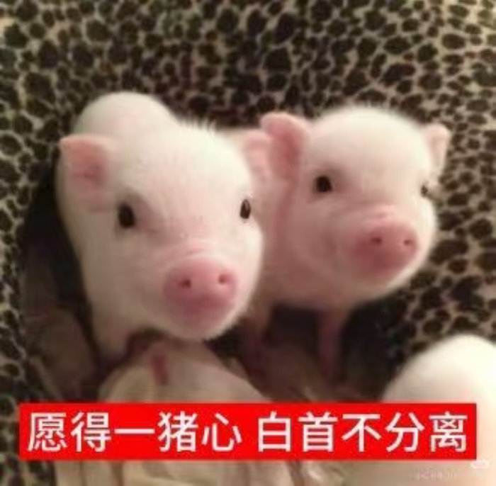 分享图片 