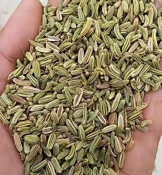 没有小茴香破不开的周身郁堵！仅搭一味草药，上中下三焦层层疏通上焦开胸、中焦消胀、