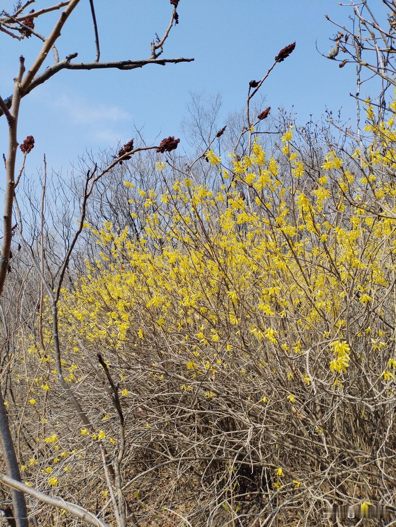 两岸统一，是实现中华民族伟大复兴的重要组成。这个目标一定要实现，一定会实现，一定