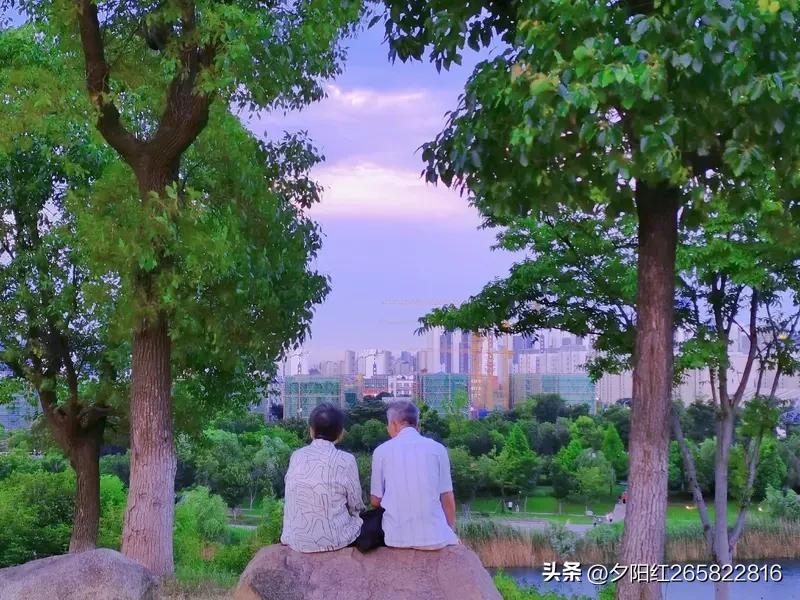 七律，暮年续，《蹉跎岁月》
一世奔波逐世尘，
年华暗换鬓边新。
空怀壮志随风远，