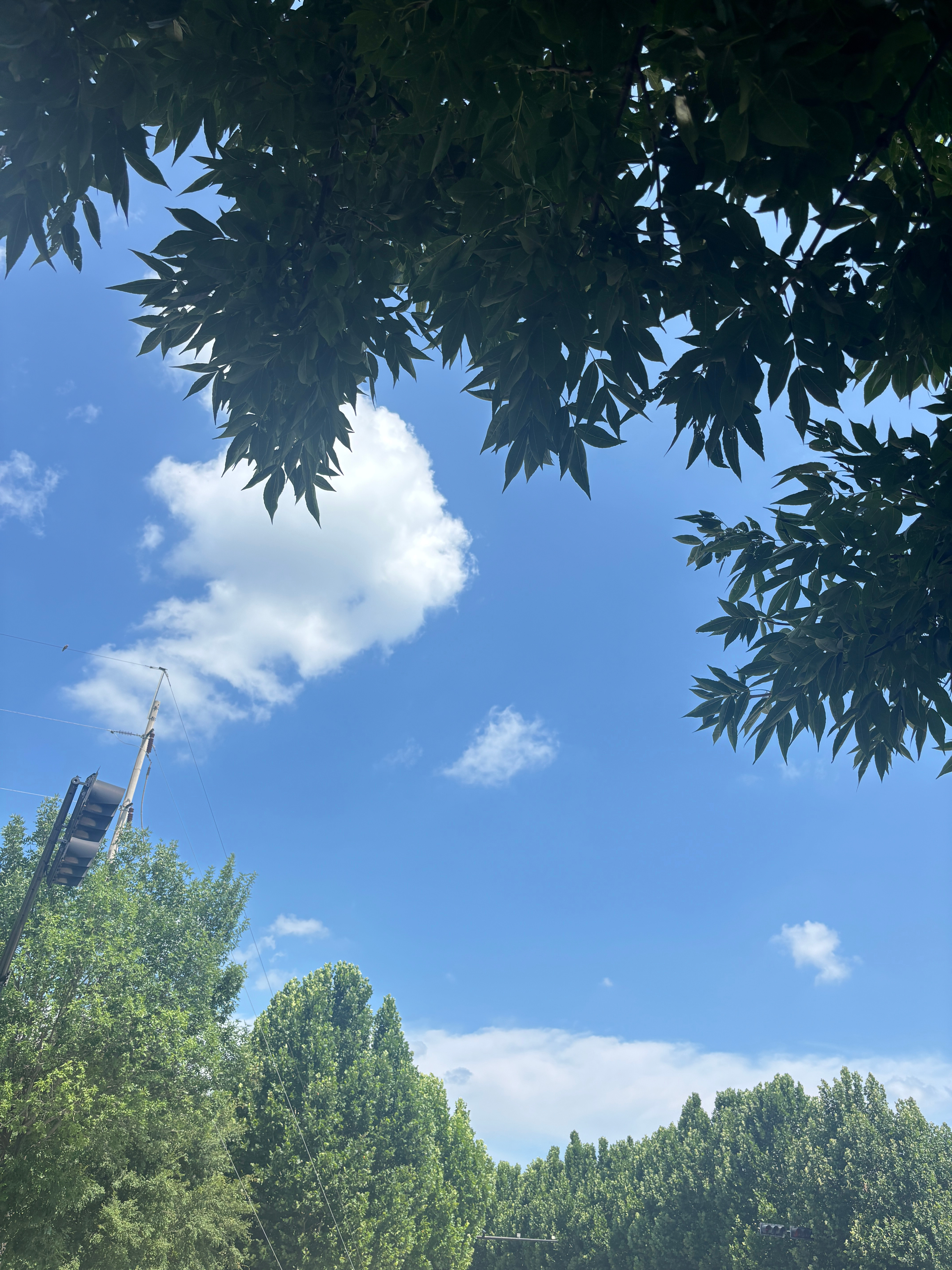 最近家里有事，不会及时上线，有可能续火不及时，请见谅