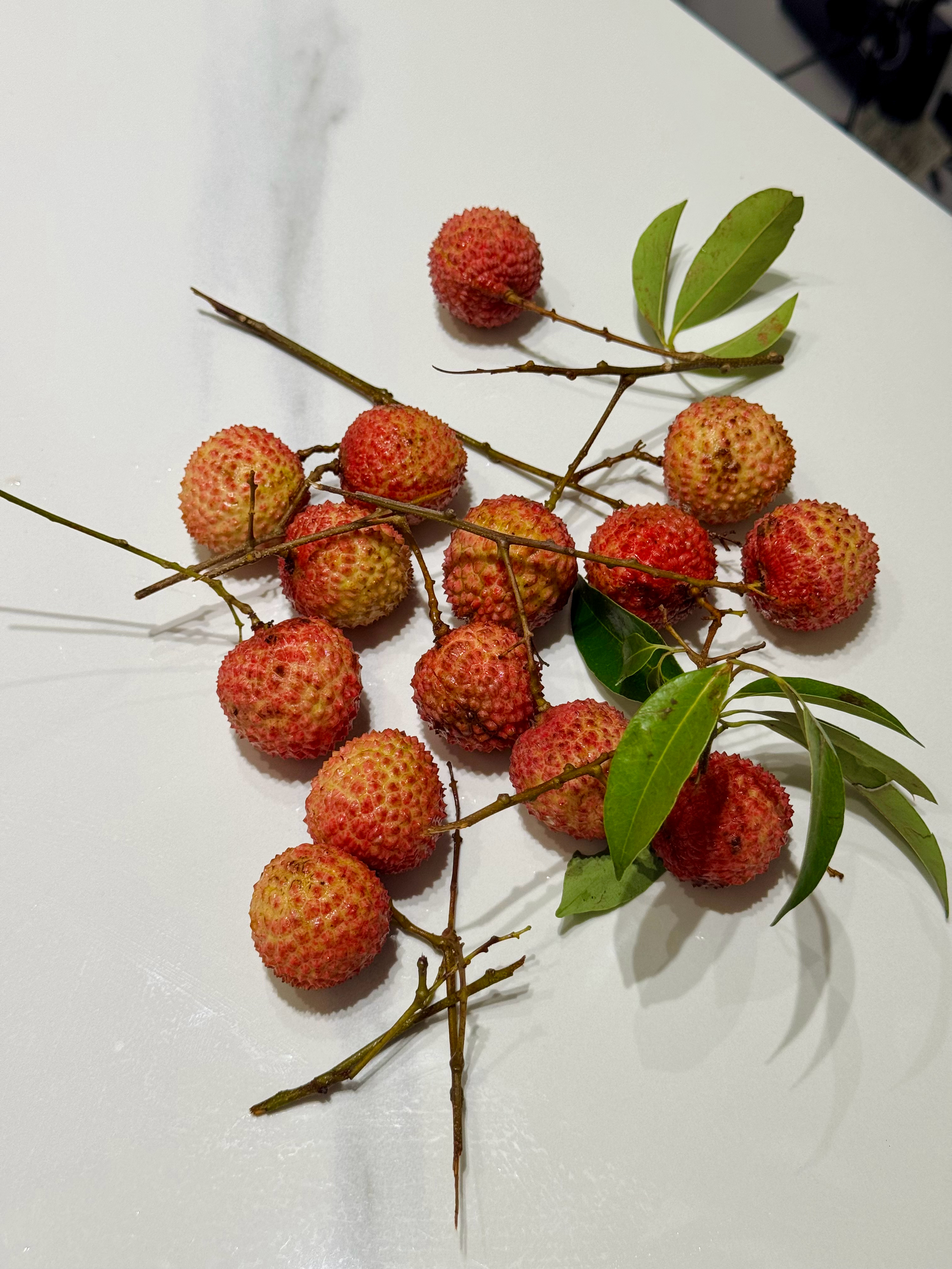 我对象给我买的荔枝，今年第一批上市的鲜桂味，60 一斤真是疯了