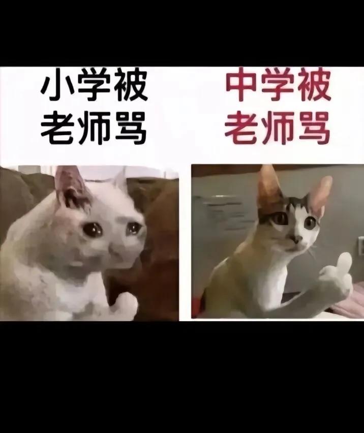 是你们上学时候的样子吗？？？？