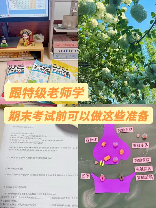 备考周，生物老师可以从哪些方面努力？