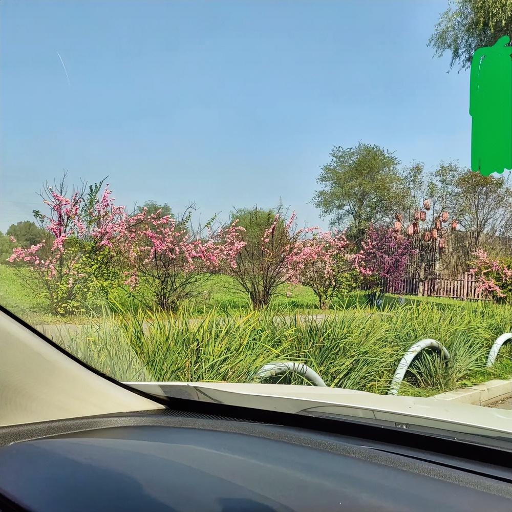 33岁心梗离世！不是熬了多少夜、拼了多少活，就因为常年跟老公吵架——这哪是结婚，