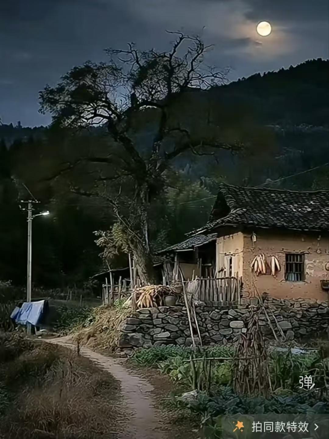 清江引·月夜客愁
明月惊鹊风送蝉，
稻馥蛙声满。
移舟泊暮烟，
野旷天低岸，
江