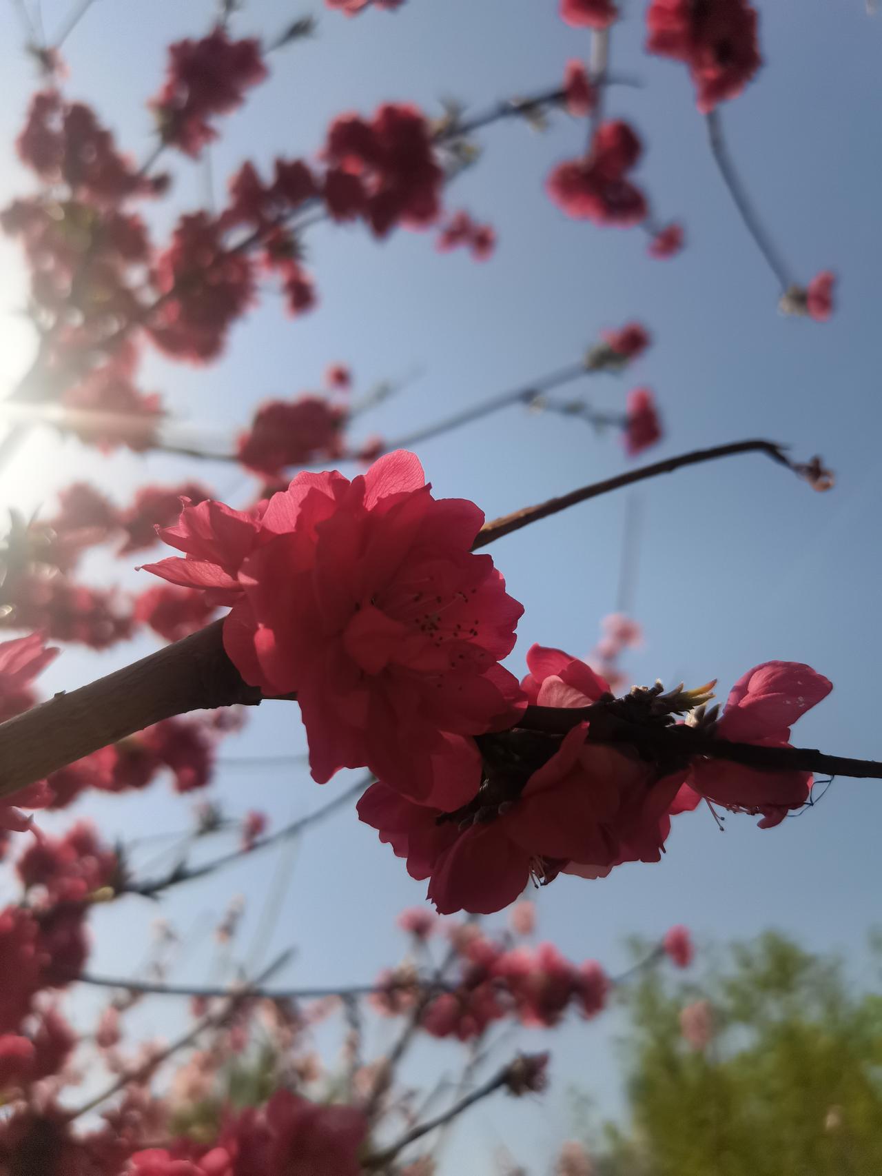 张雪峰为什么能受欢迎?

张雪峰受欢迎，说白了就一句话：他是普通人的嘴替，替大家