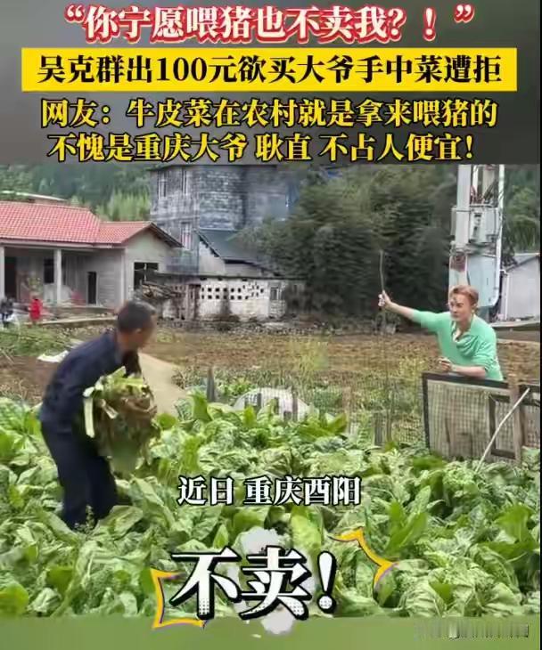 这件事发生的背景是吴克群想用100元买大爷手中的菜，但大爷拒绝了他的出价，还说“