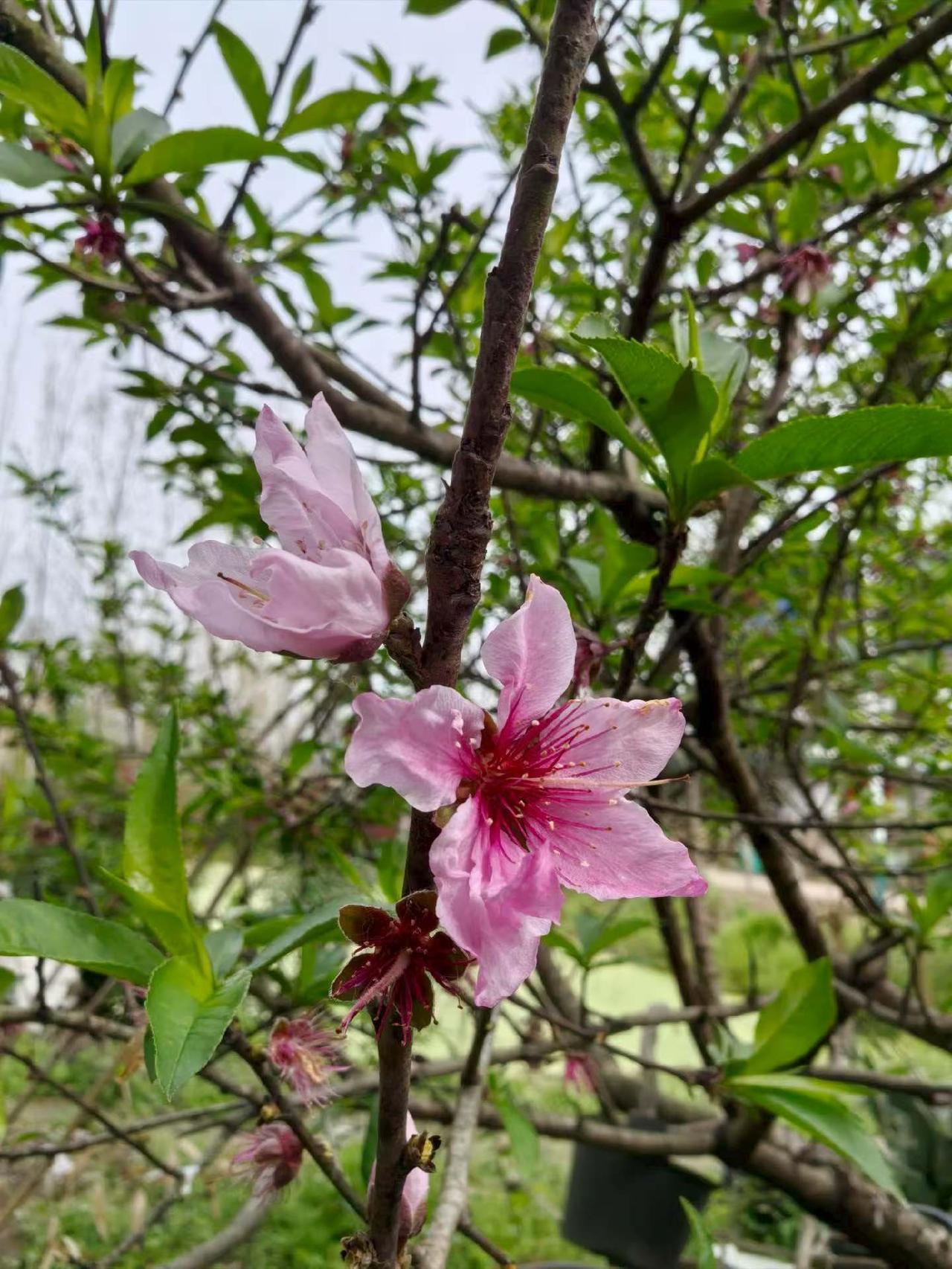 刚刚一个业主买了点祭祖的纸钱放在一个纸箱子里，一转身纸箱子不见了，我和同事最后在