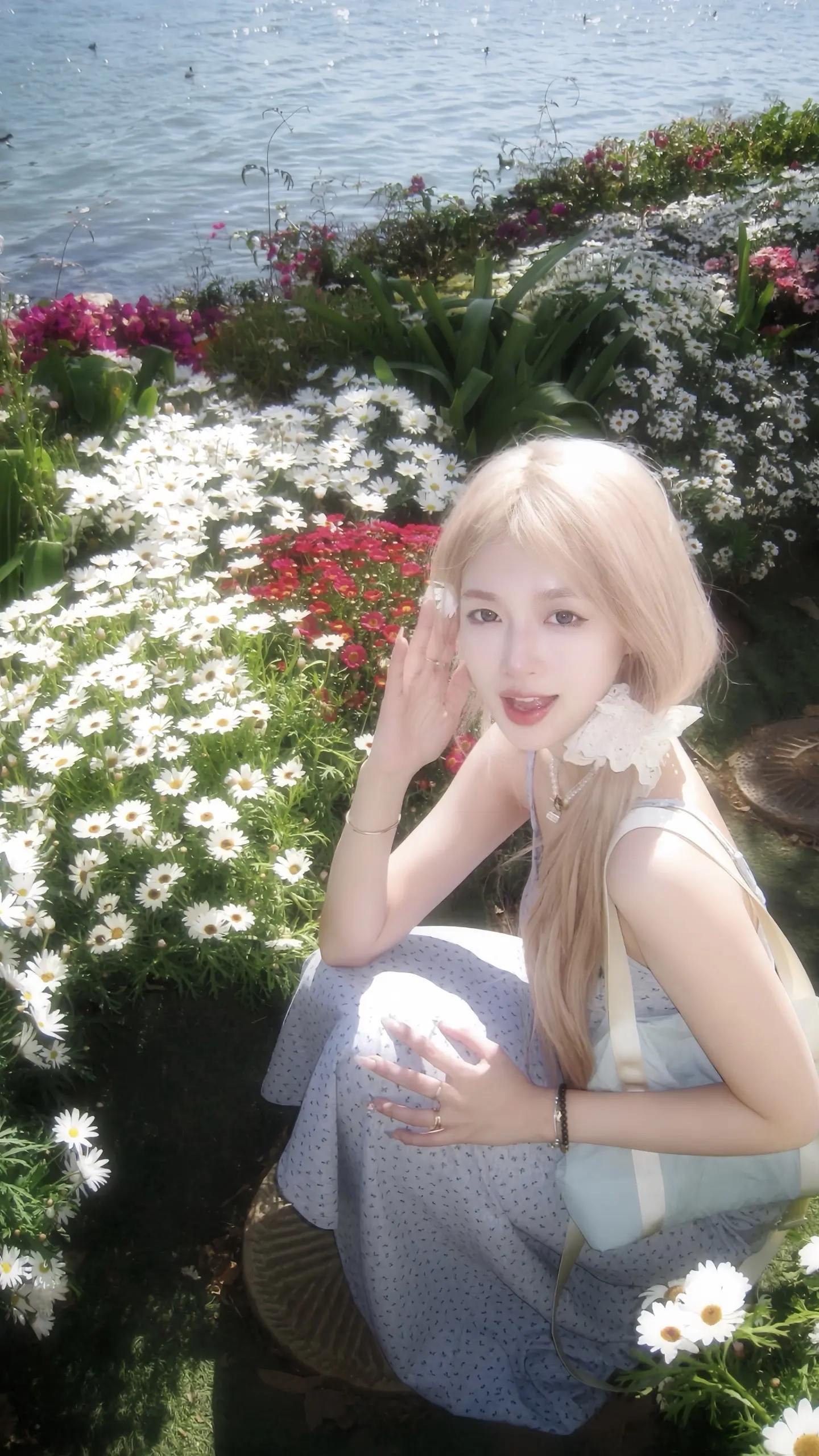 樱花树下站谁都美 我的爱给谁都热烈。