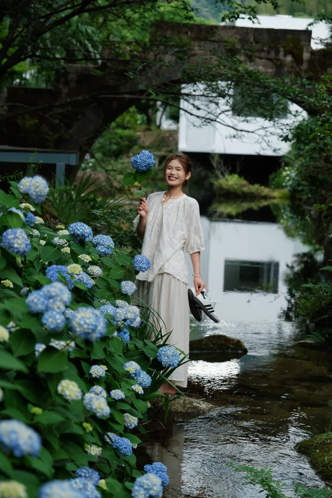绣球花开🌿在三清山住进人生度假酒店