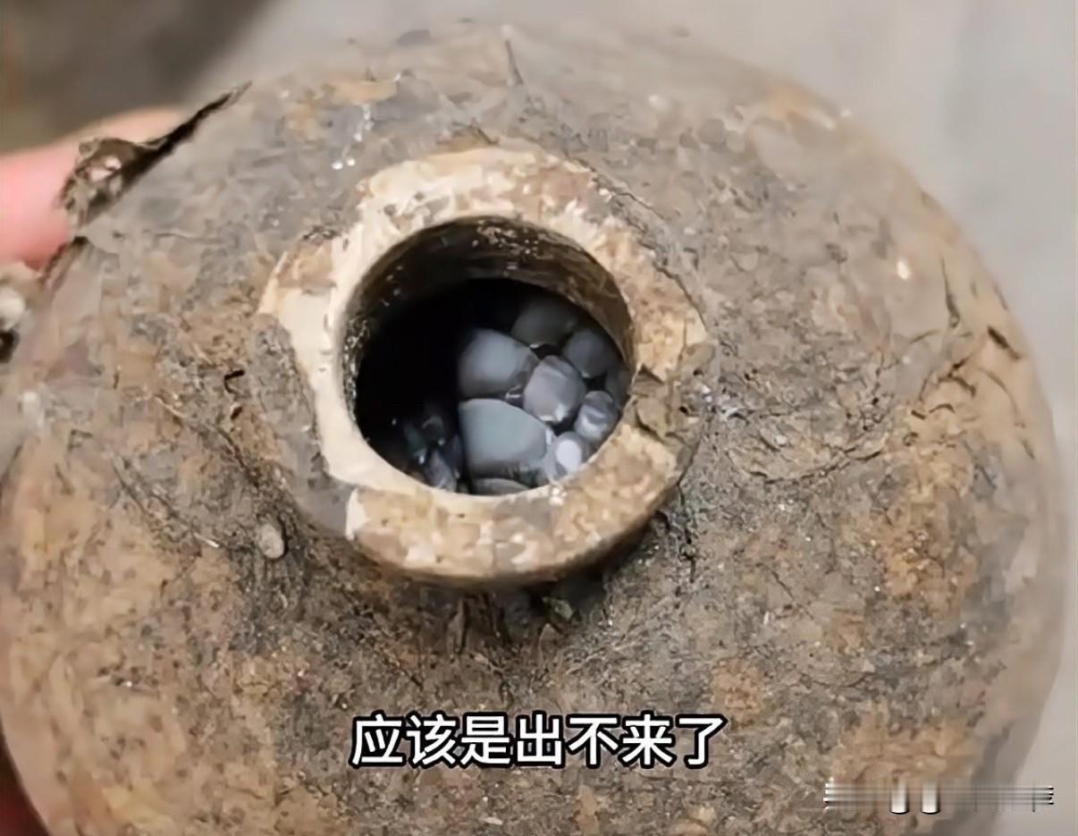 居民田间意外发现冬眠眼镜蛇，专家提醒冬季防蛇意识不可松懈
近日，湖南省永州市一居