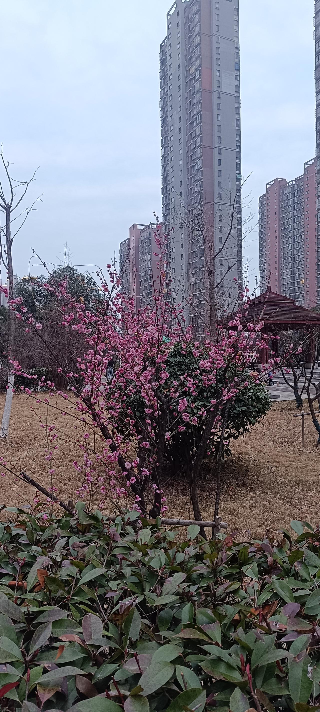 一件羽绒服2159元,贵吗? 一件羽绒服2159元，贵不贵真得看收入水平。月入3