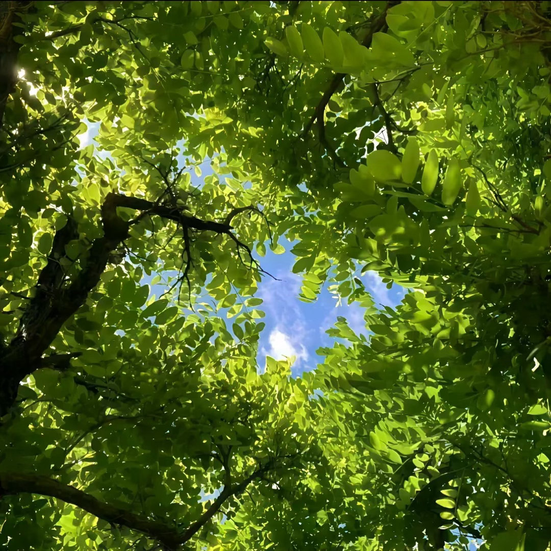 每日一善  相信未来，相信内在和坦然美好的心境。在心里，谁都有一道最美丽的风景。