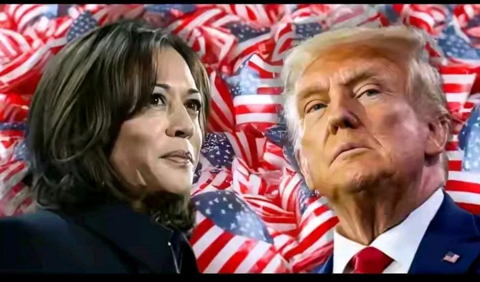 美国驴象之争的总统大选，全部选票共538张。

很多人好奇：为什么选举人票是偶数