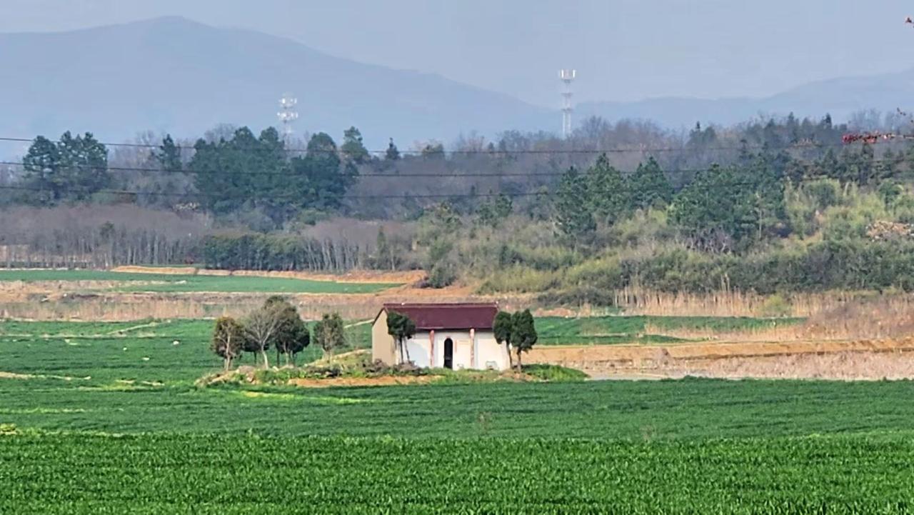 原来春日这么治愈