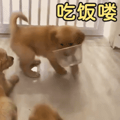 于正气到输液 何晟铭气定神闲糟糕，有点好嗑！像遗憾离场的他决定封心锁爱！他再看到