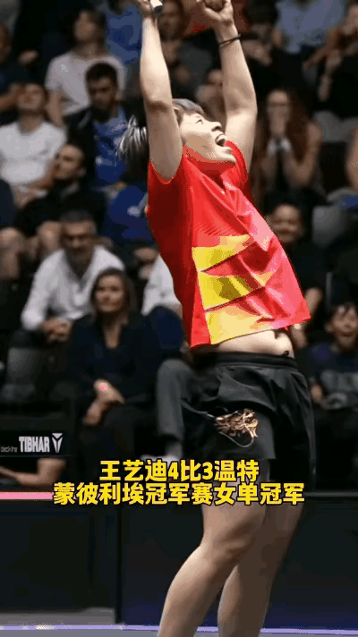 在2025年WTT蒙彼利埃冠军赛，谁能想到，这趟王艺迪的夺冠之路，竟走得这般荡气