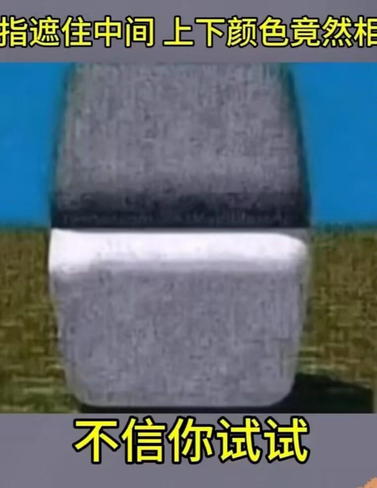 真是太神奇了，这是什么道理啊？