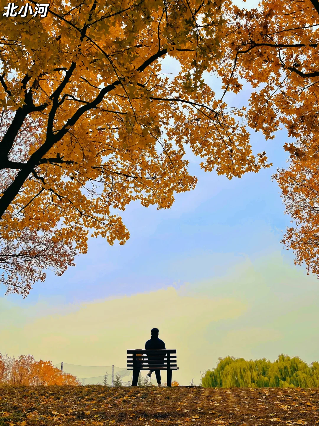 北京的秋天不这样玩儿等于白来！美到窒息
