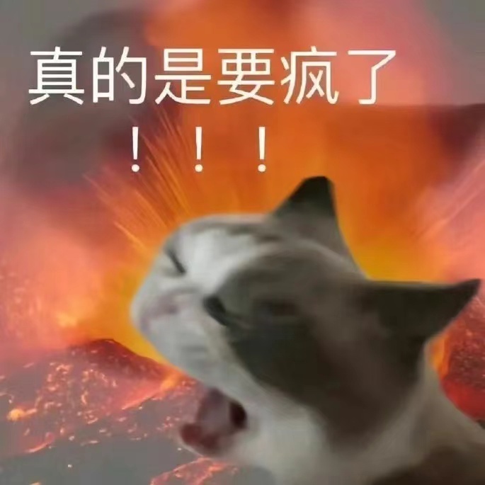 本狐的生物钟：可以贪黑但不能起早。 ​​​