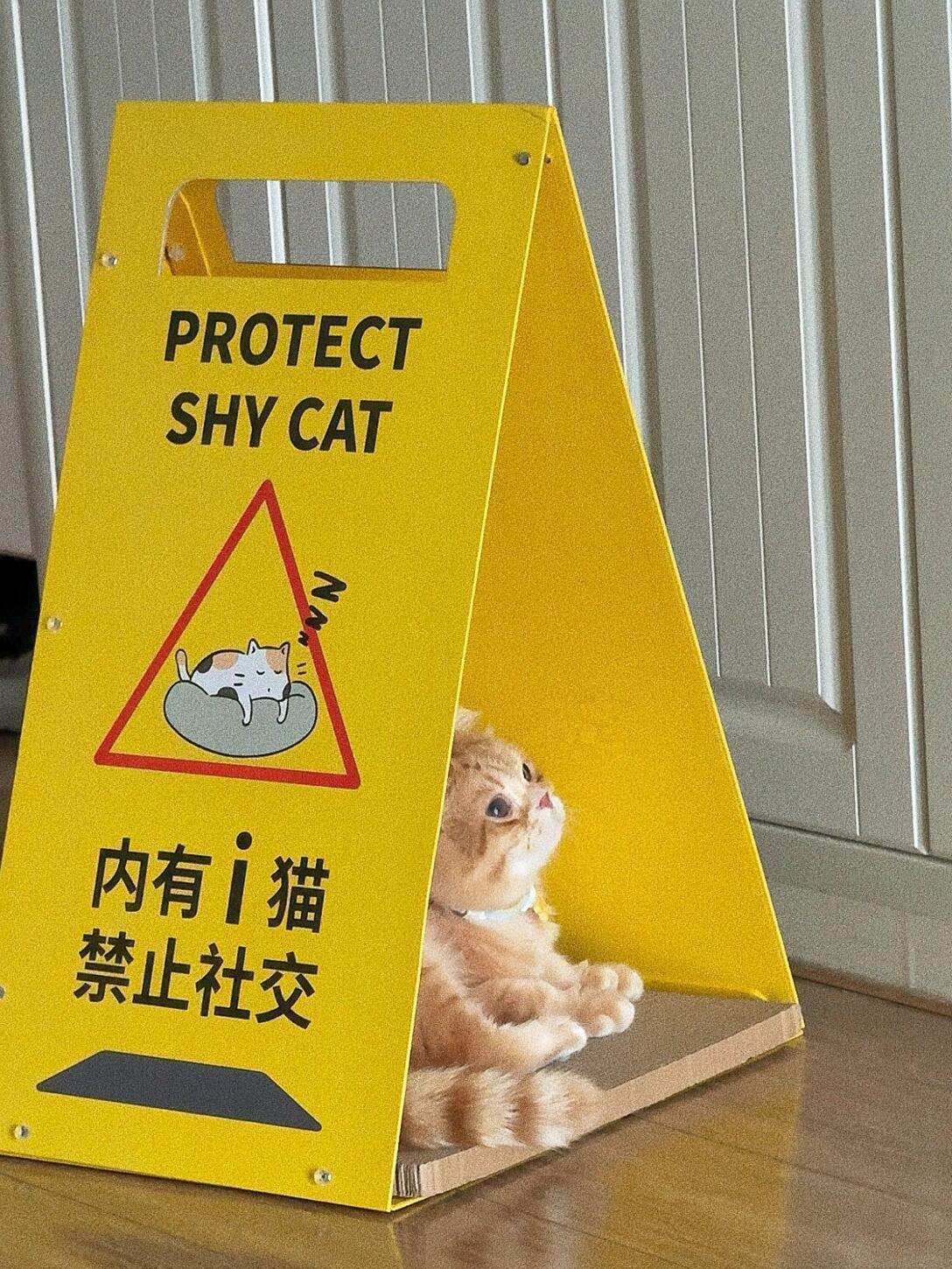 没有i猫，禁止社交