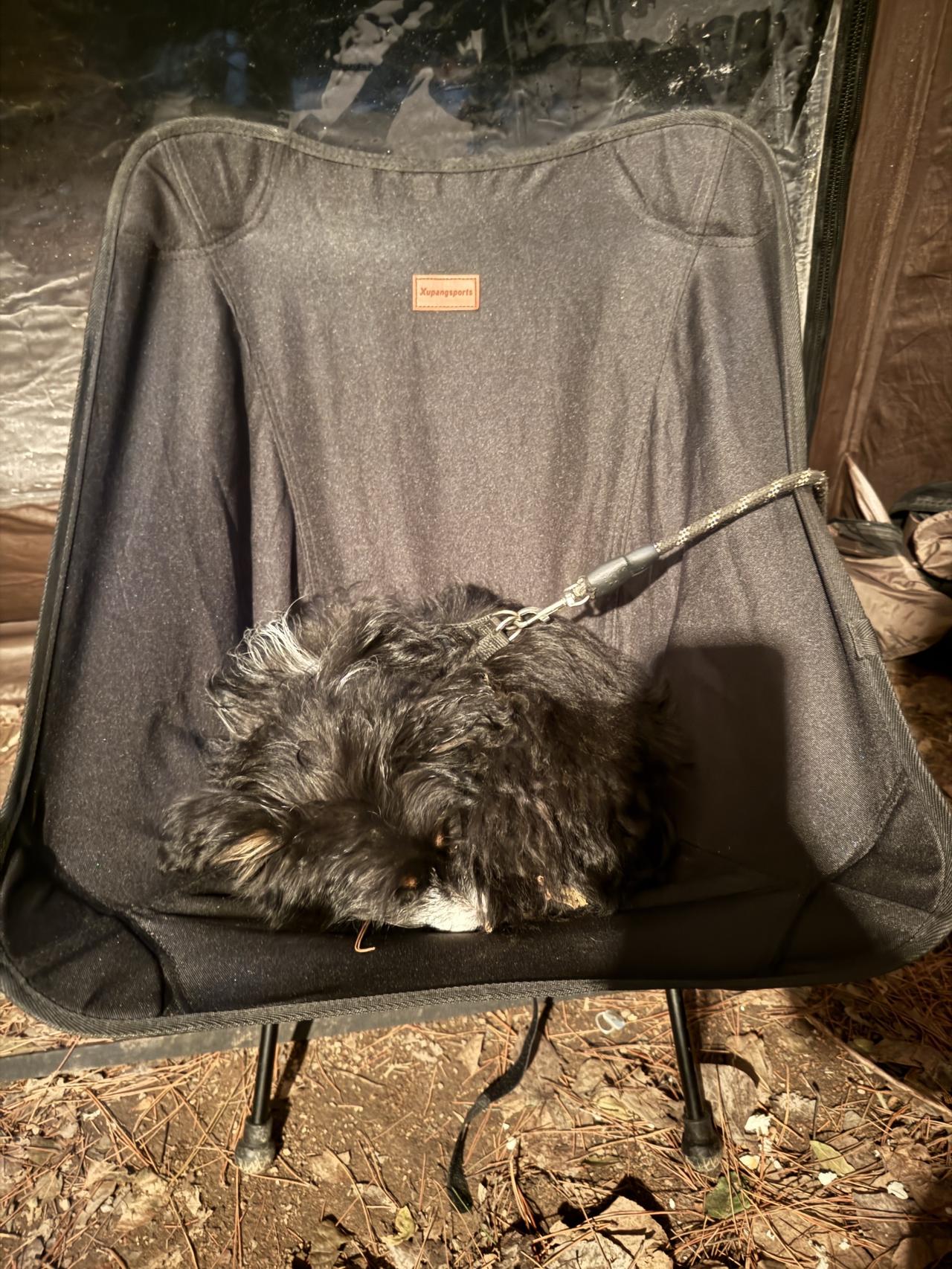 夜晚和白天一样