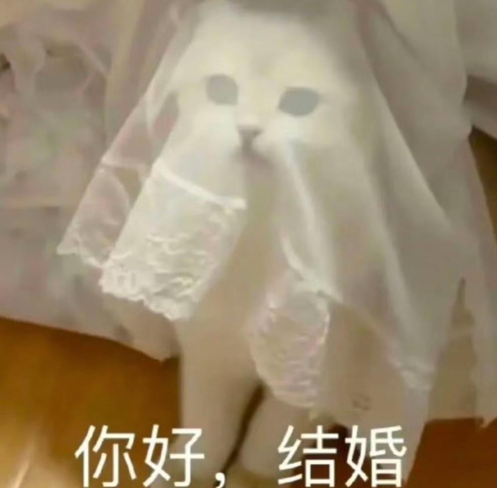 遇见之后我每天都是： 
