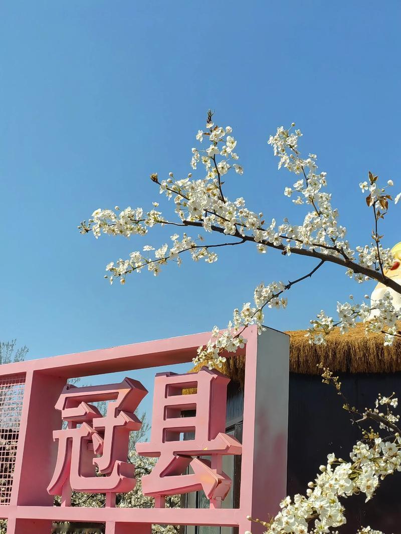 山东旅游，梨乡福地，冠县美景打卡攻略！
山东冠县
美景和美食推荐：
1、中华第一